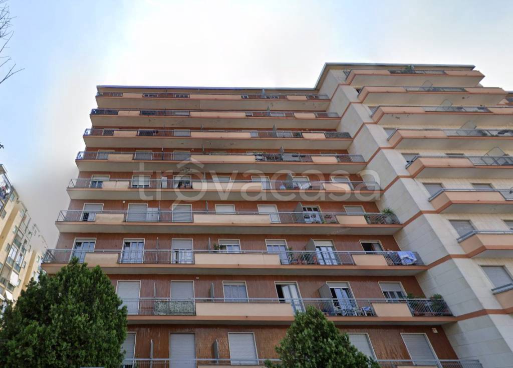 immagine annuncio 1 di 7