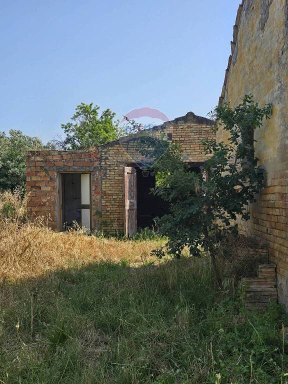 immagine annuncio 11 di 13