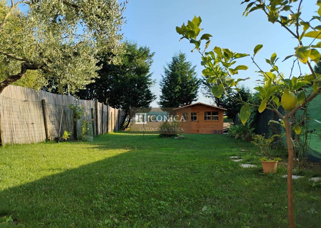 immagine annuncio 5 di 14