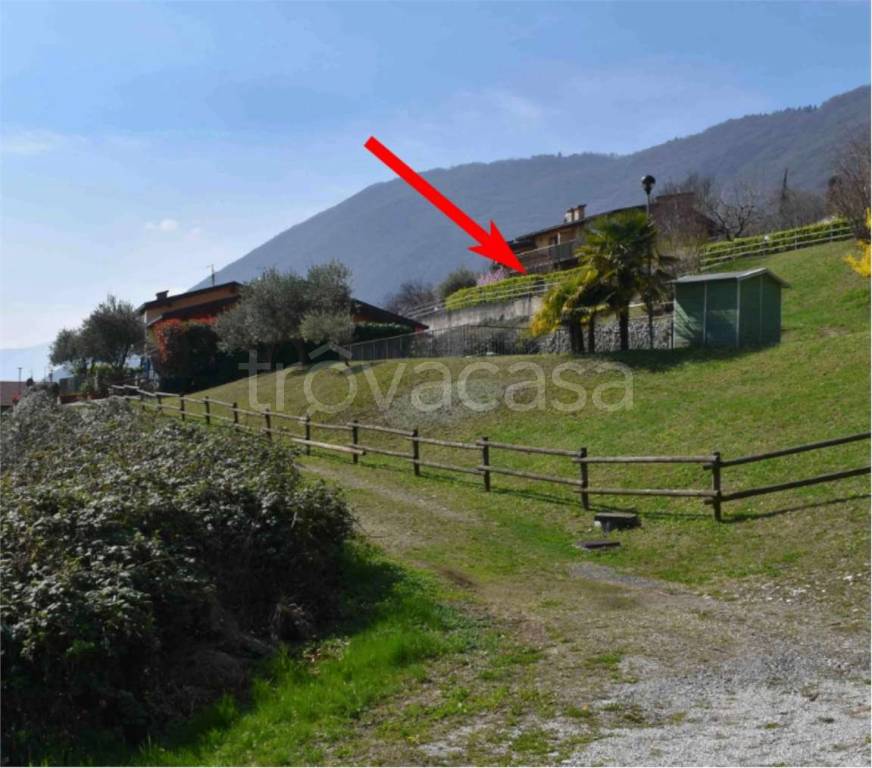 immagine annuncio 7 di 12