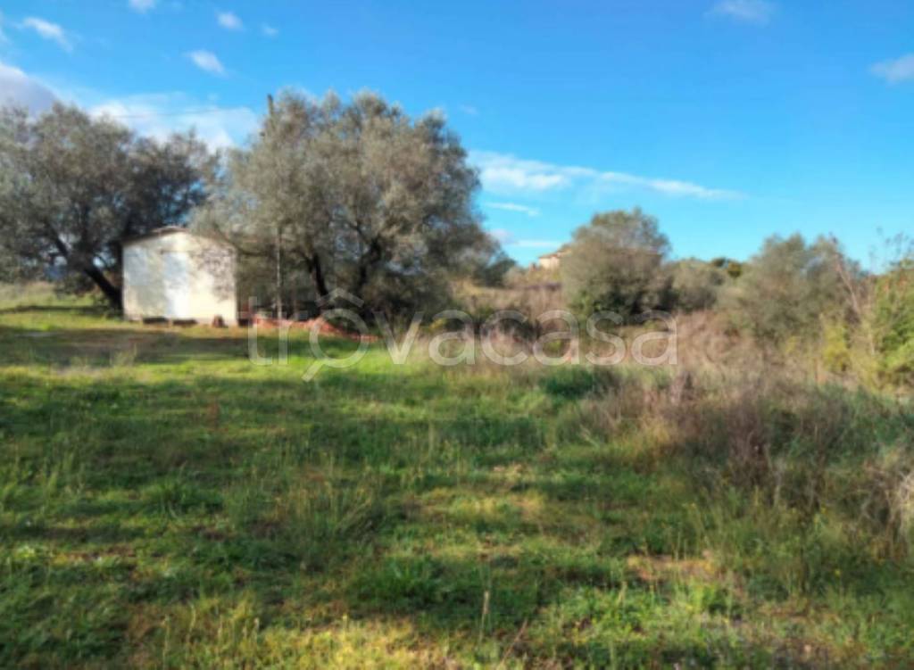 immagine annuncio 12 di 15