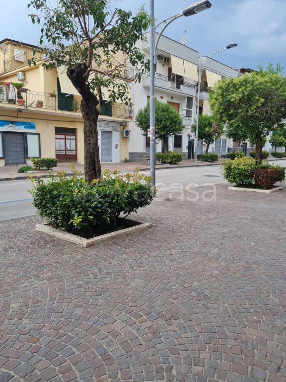 immagine annuncio 6 di 8