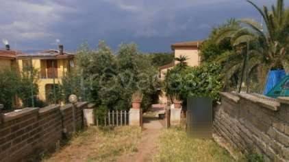 immagine annuncio 1 di 13