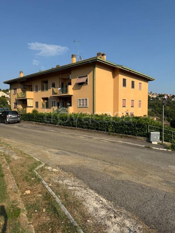 immagine annuncio 10 di 13