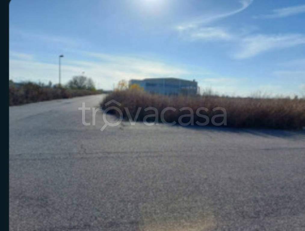 immagine annuncio 11 di 14