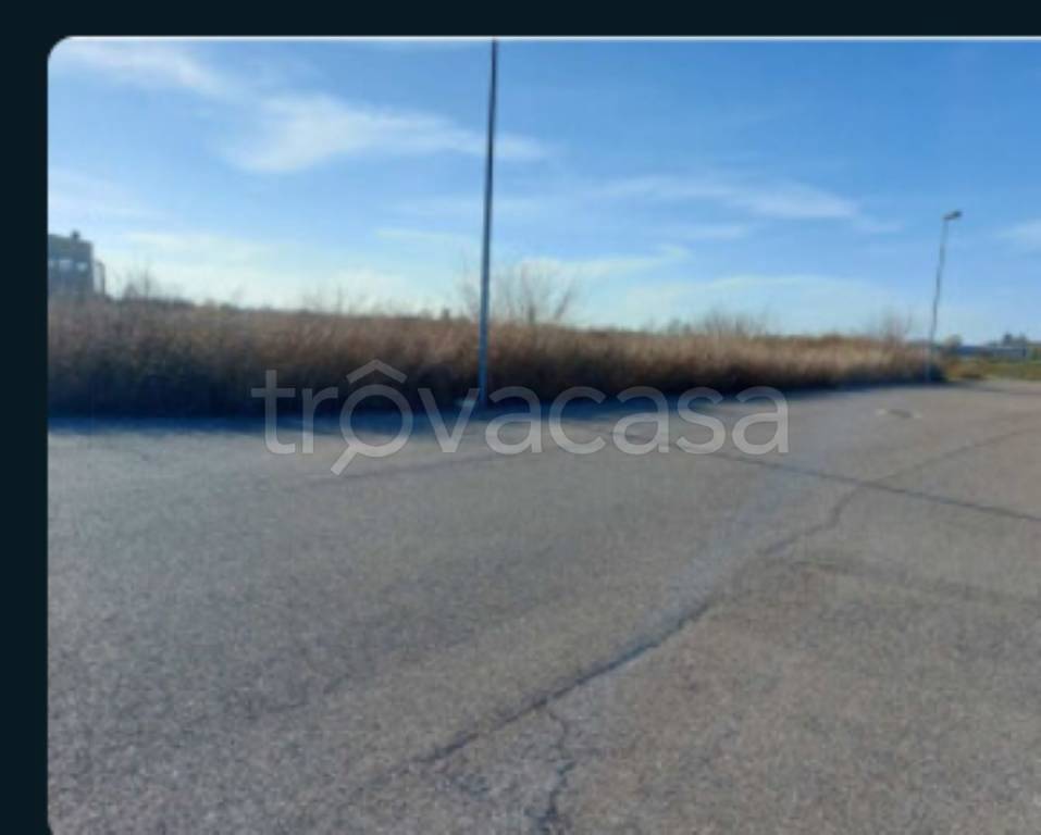 immagine annuncio 12 di 14