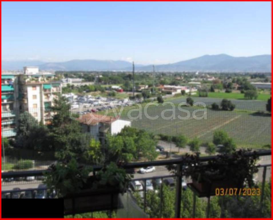 immagine annuncio 6 di 12