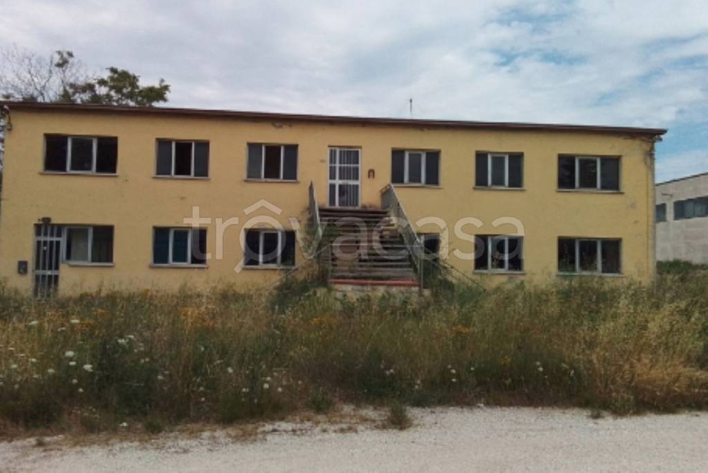 immagine annuncio 5 di 14