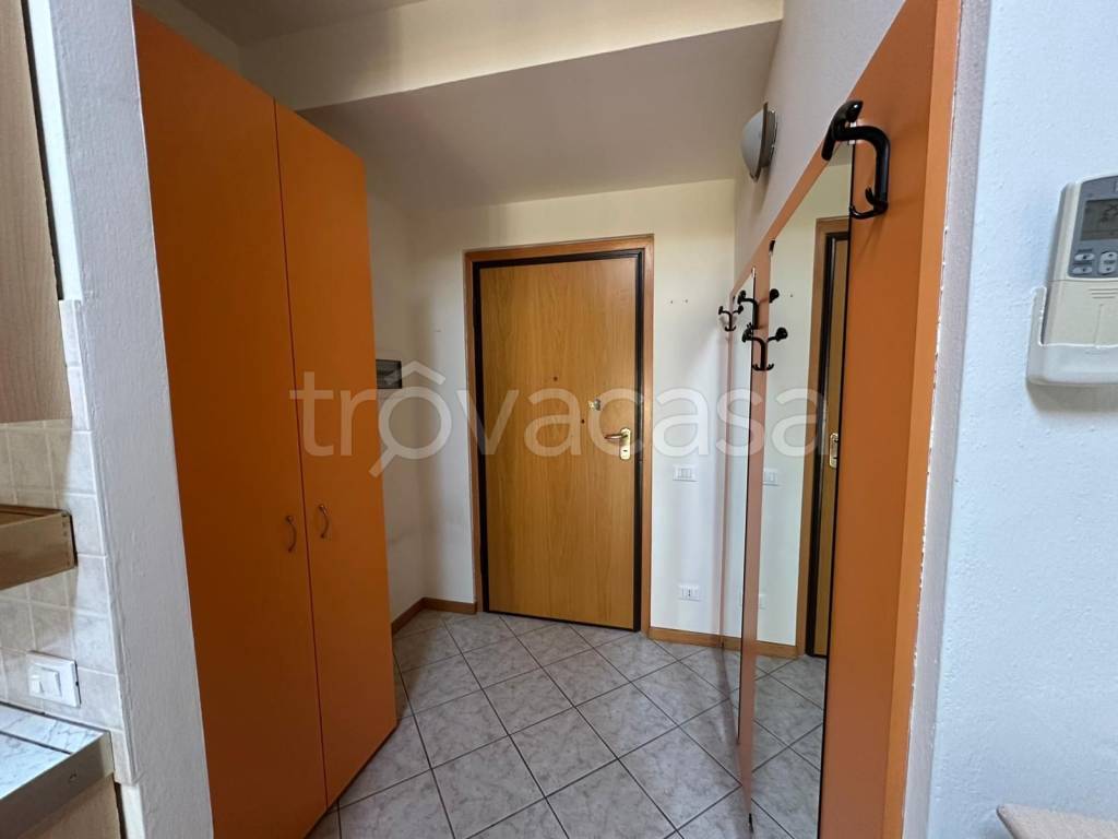 immagine annuncio 9 di 14