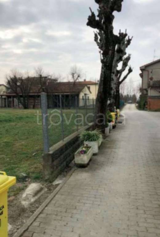 immagine annuncio 3 di 13
