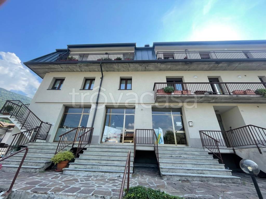 immagine annuncio 2 di 7