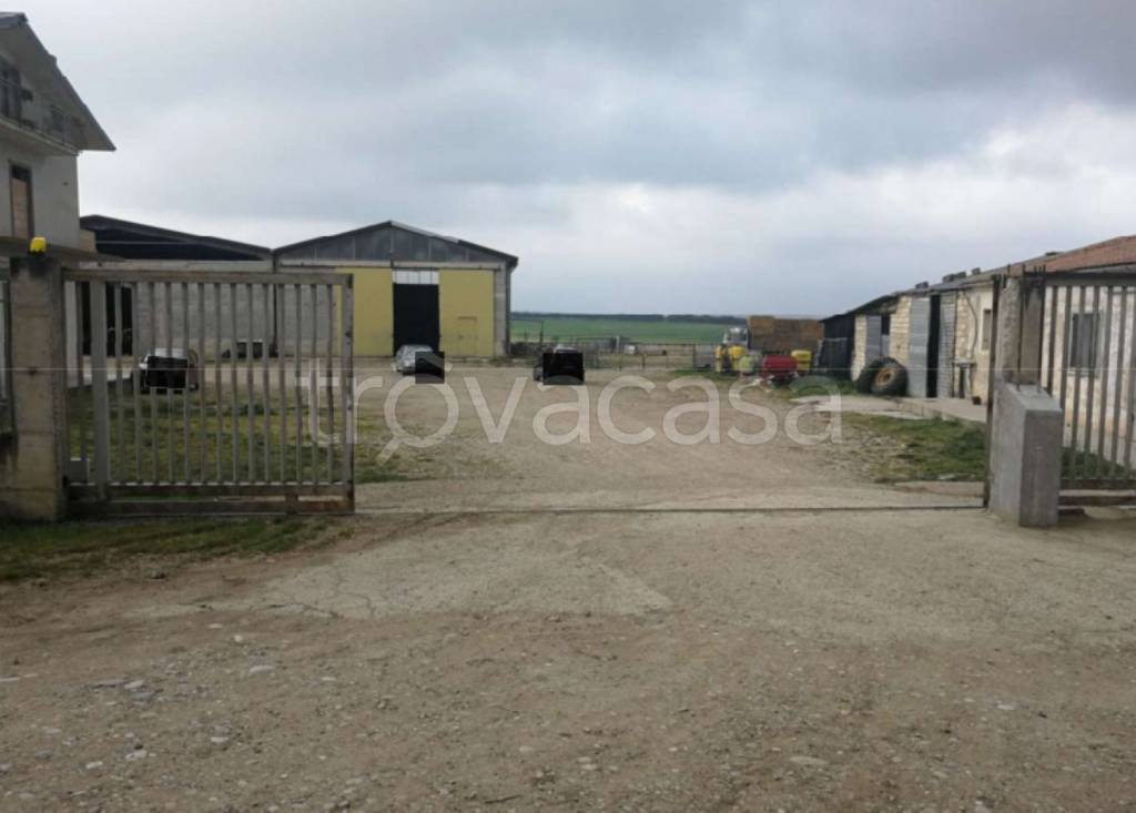 immagine annuncio 3 di 14