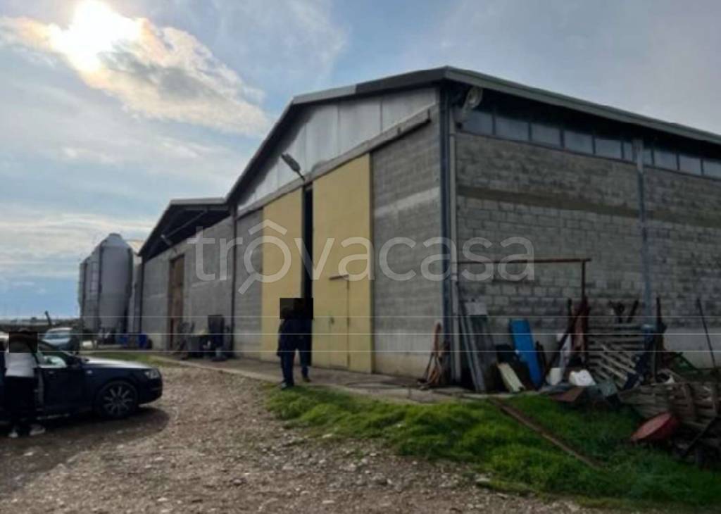 immagine annuncio 4 di 14