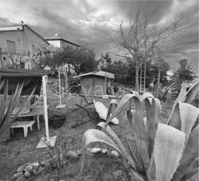 immagine annuncio 5 di 12