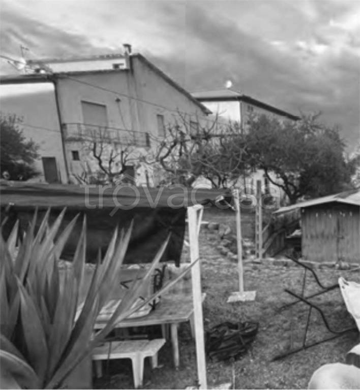 immagine annuncio 7 di 12