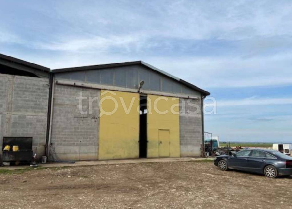 immagine annuncio 6 di 14