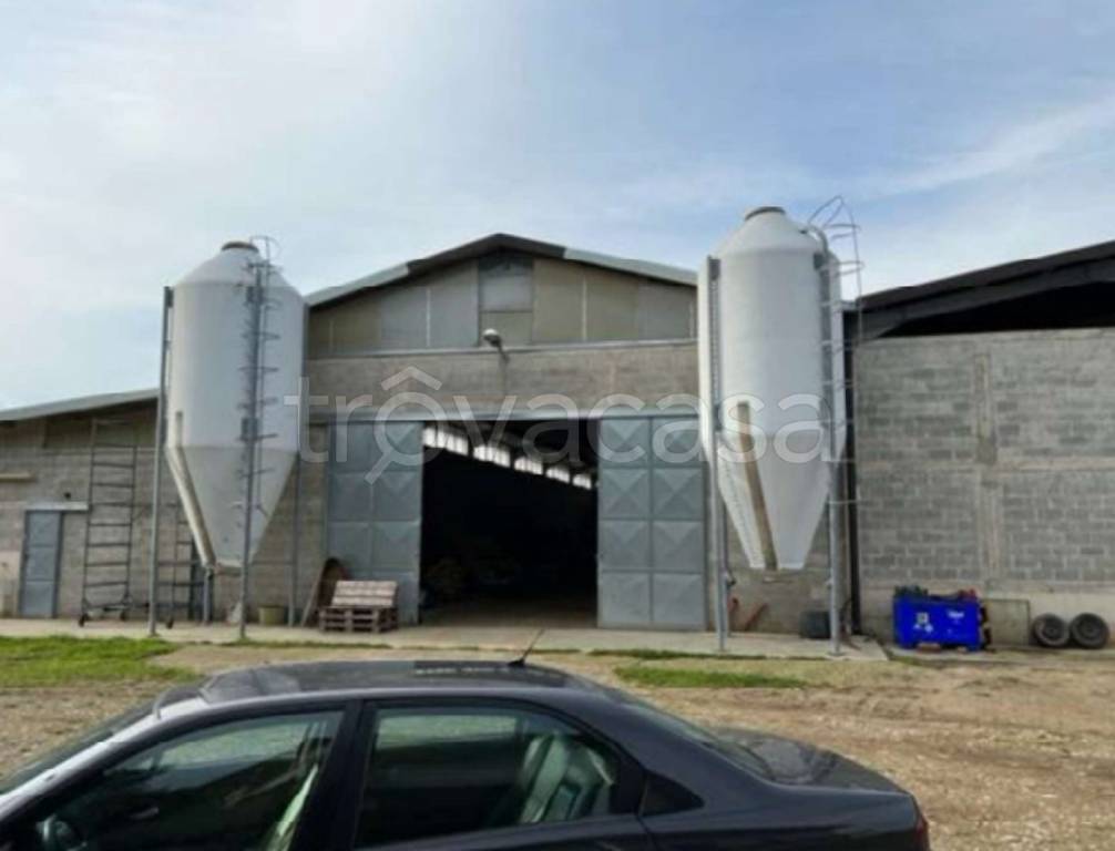 immagine annuncio 7 di 14