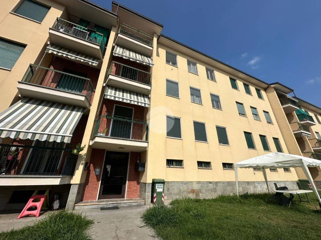 immagine annuncio 5 di 15