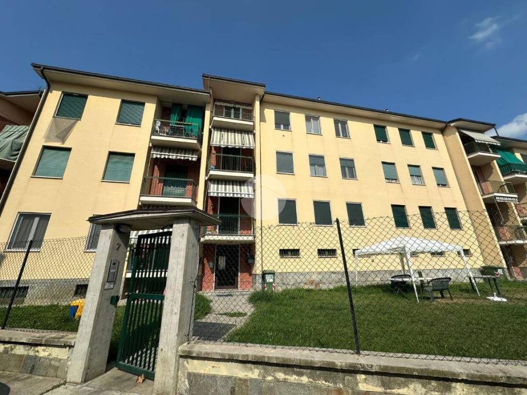 immagine annuncio 1 di 15