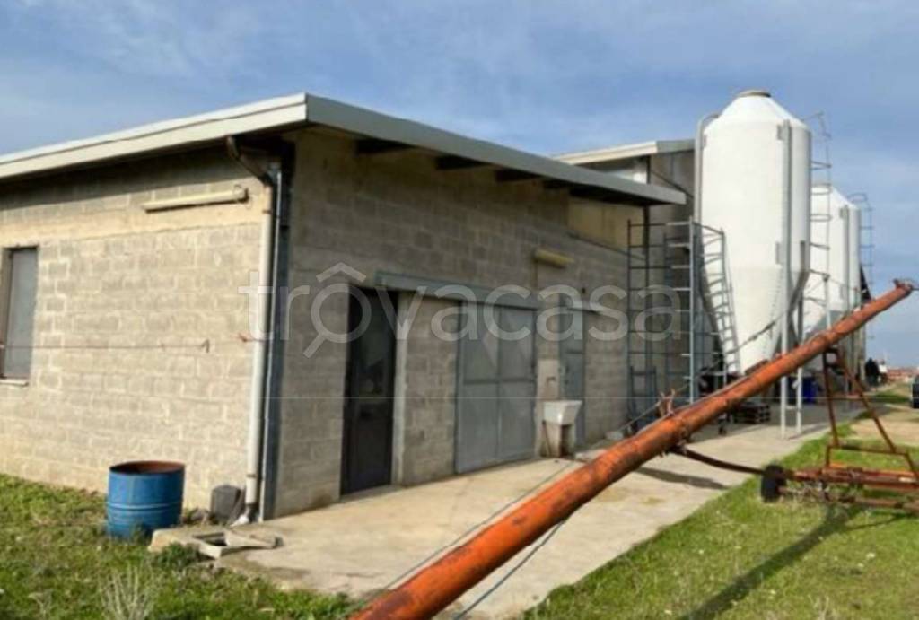 immagine annuncio 8 di 14