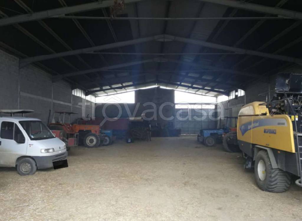 immagine annuncio 9 di 14