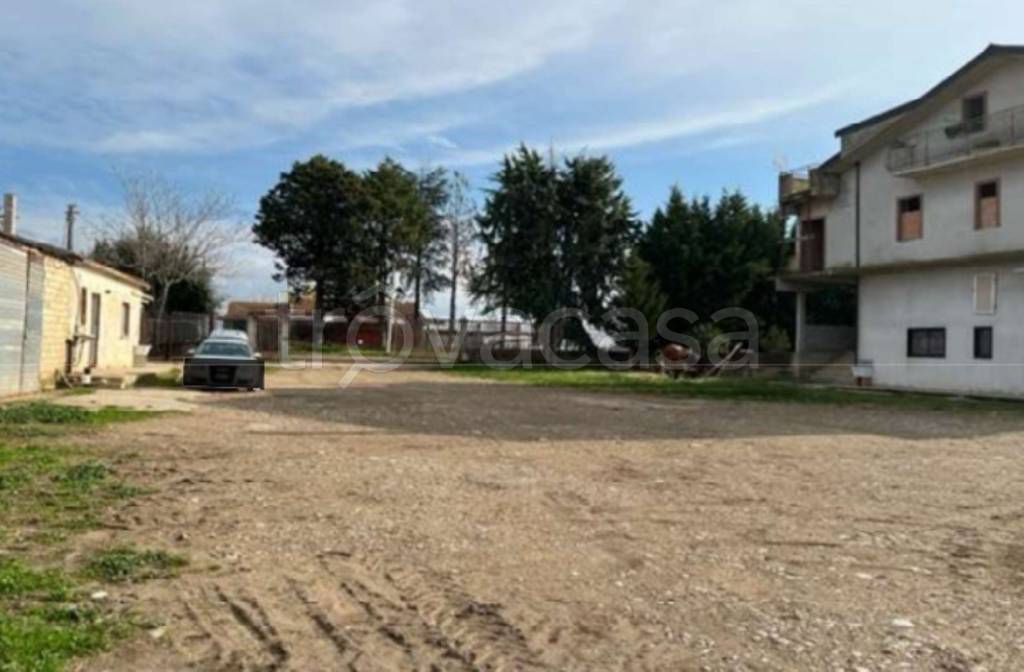 immagine annuncio 12 di 14