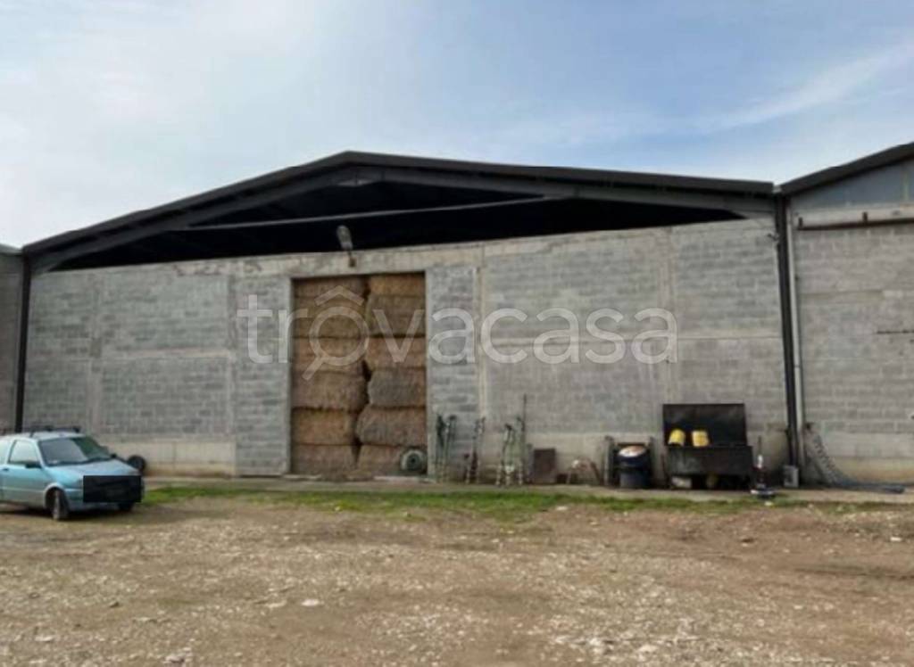 immagine annuncio 13 di 14