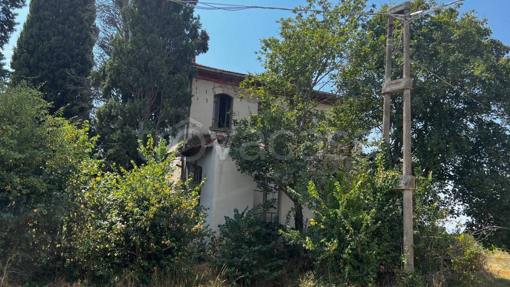 immagine annuncio 5 di 8