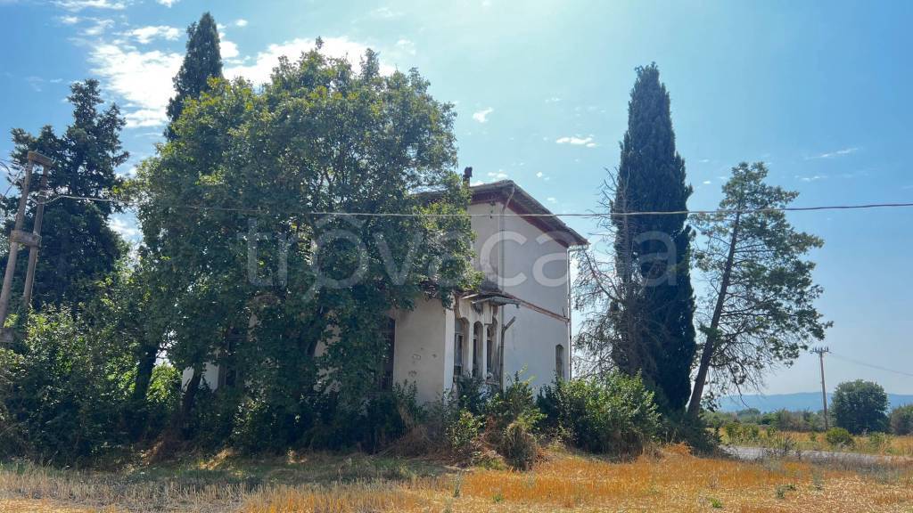 immagine annuncio 6 di 8