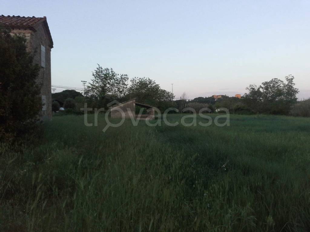 immagine annuncio 6 di 8