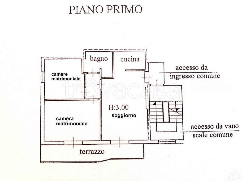 immagine annuncio 2 di 8