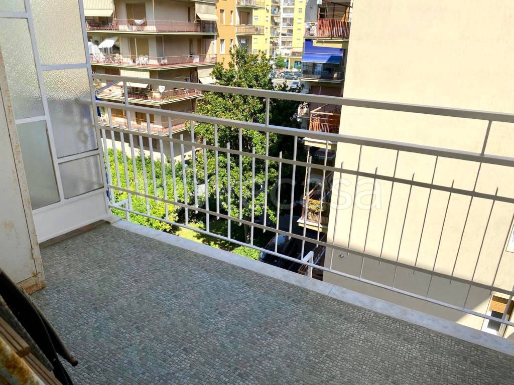 immagine annuncio 10 di 14