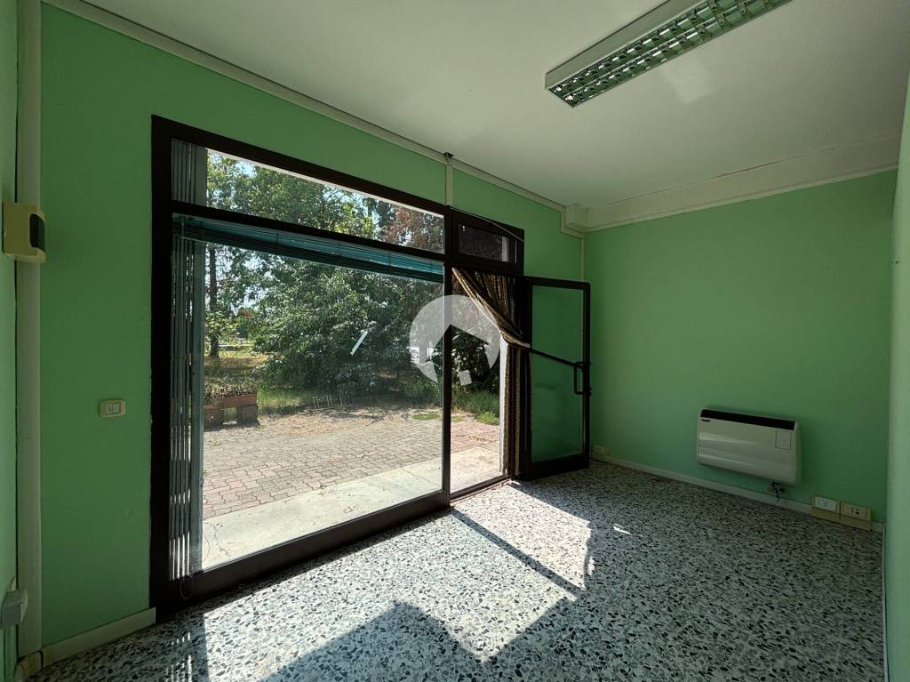 immagine annuncio 2 di 9