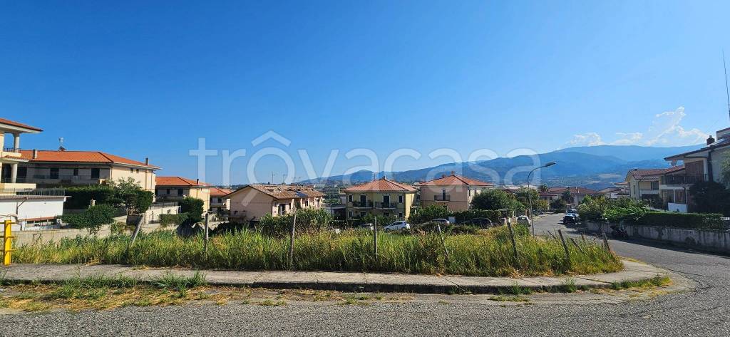 immagine annuncio 5 di 7