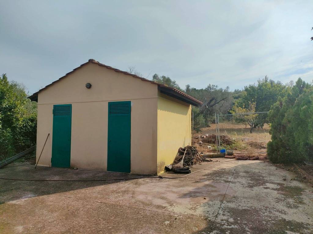 immagine annuncio 12 di 15