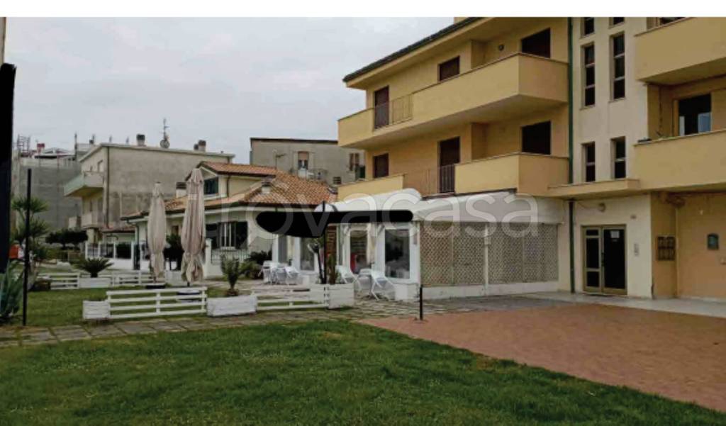 immagine annuncio 6 di 12