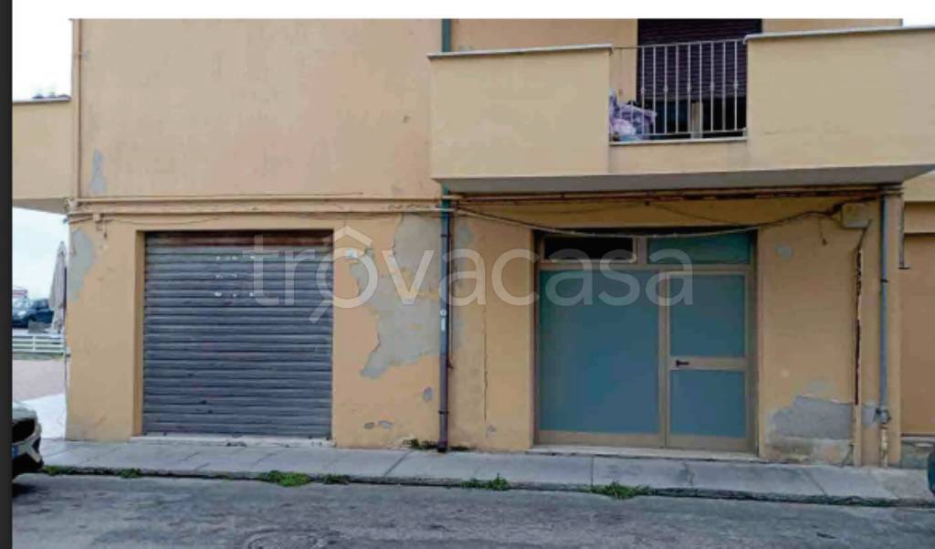 immagine annuncio 9 di 12