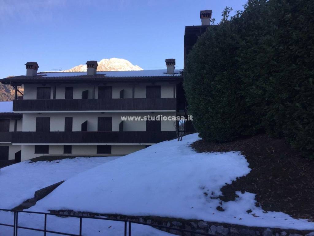 immagine annuncio 2 di 14