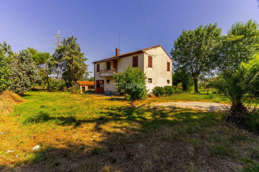 immagine annuncio 4 di 11