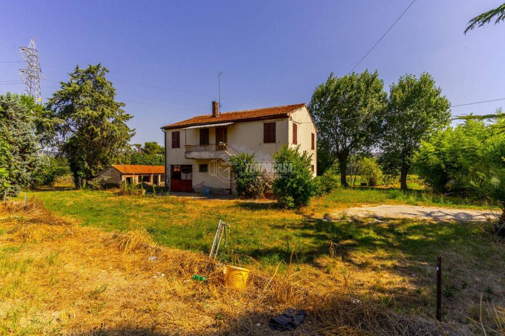 immagine annuncio 5 di 11