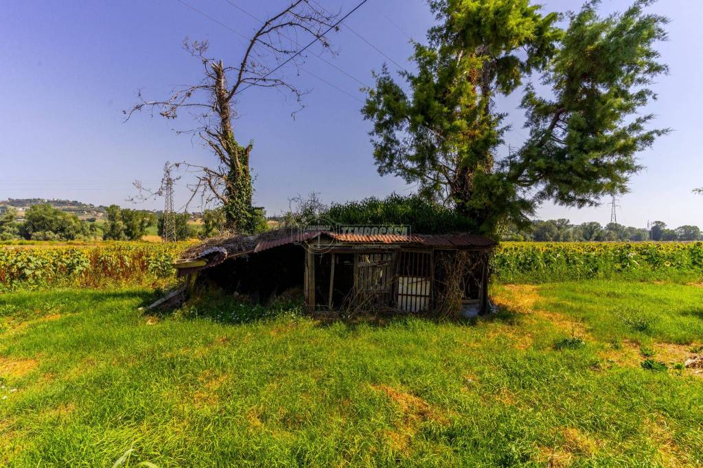 immagine annuncio 9 di 11