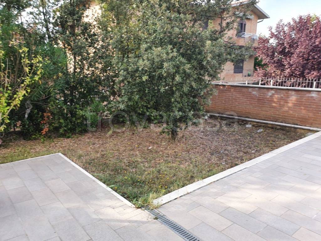 immagine annuncio 6 di 12