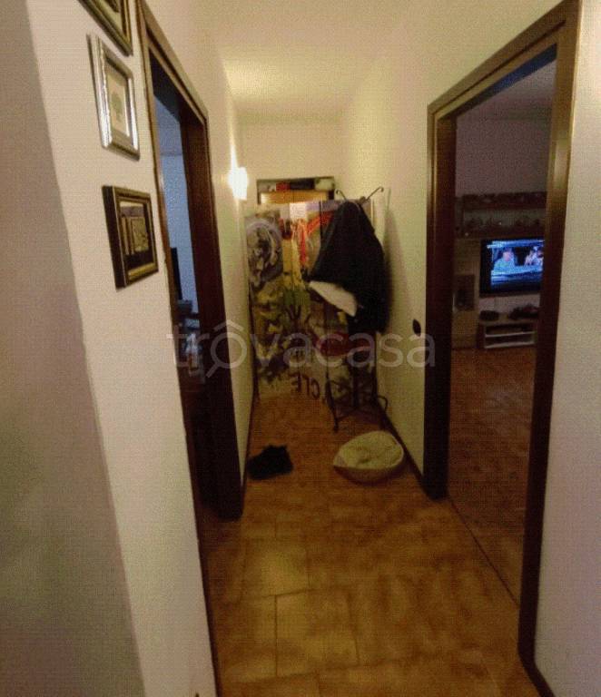immagine annuncio 5 di 12
