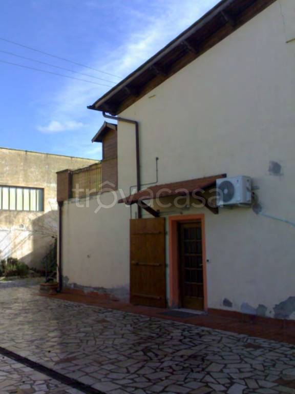 immagine annuncio 8 di 12