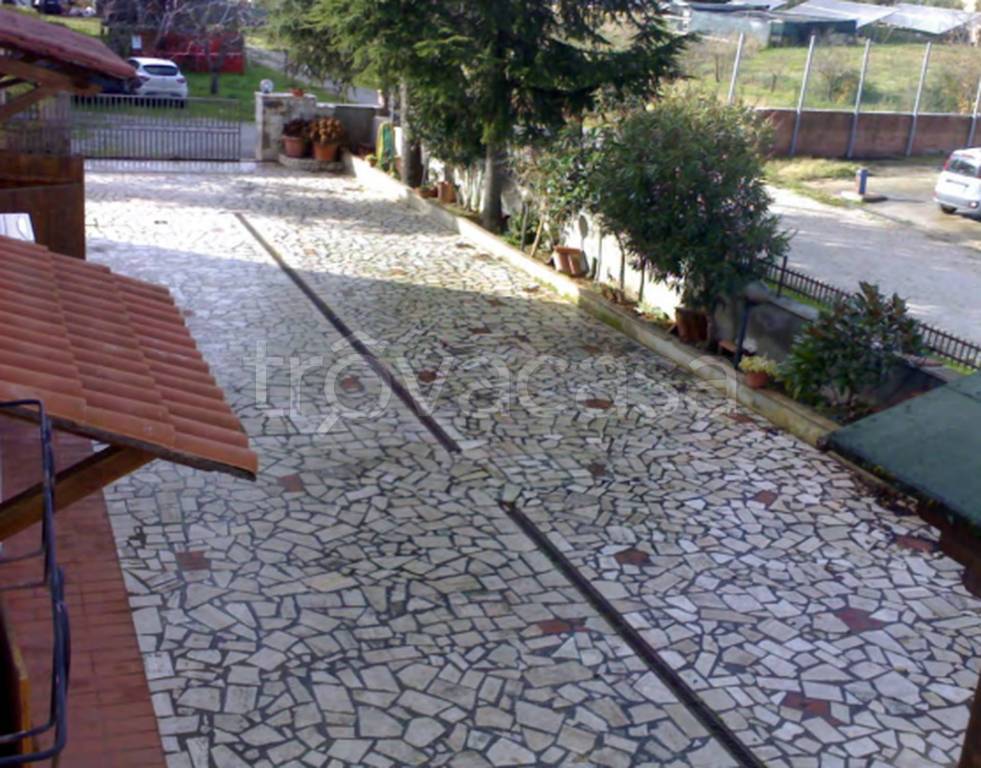 immagine annuncio 9 di 12