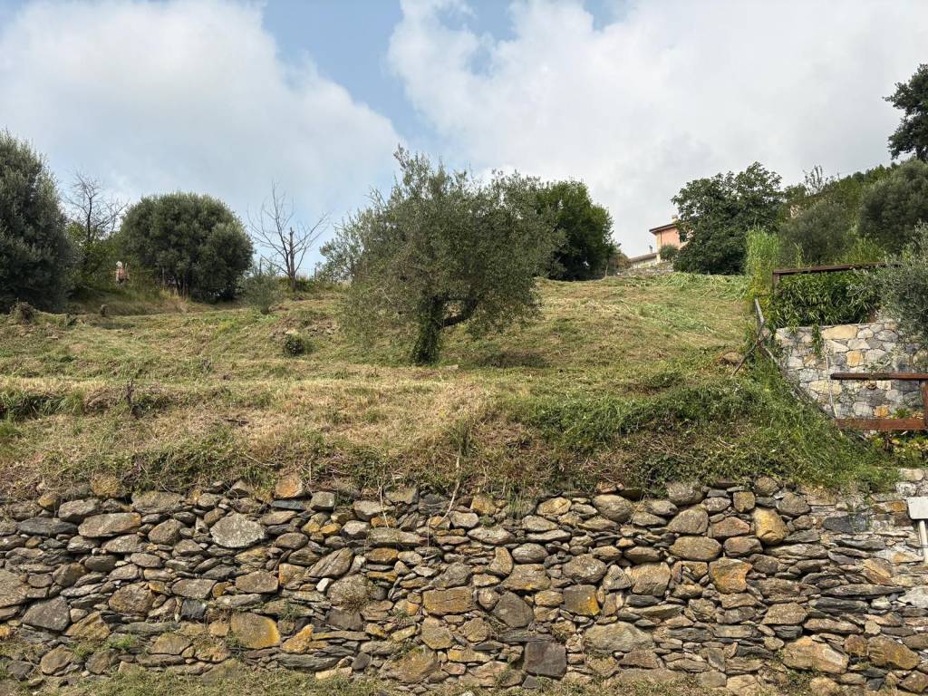 immagine annuncio 6 di 7