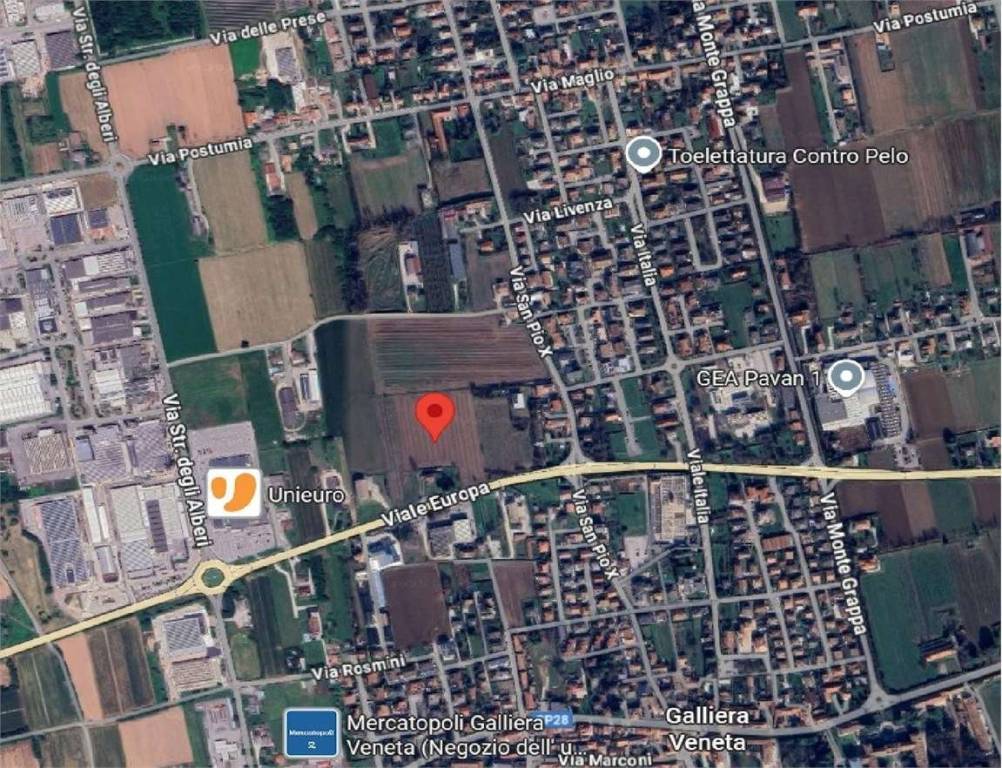 immagine annuncio 12 di 15