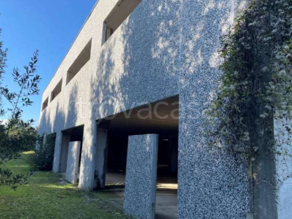 immagine annuncio 4 di 14