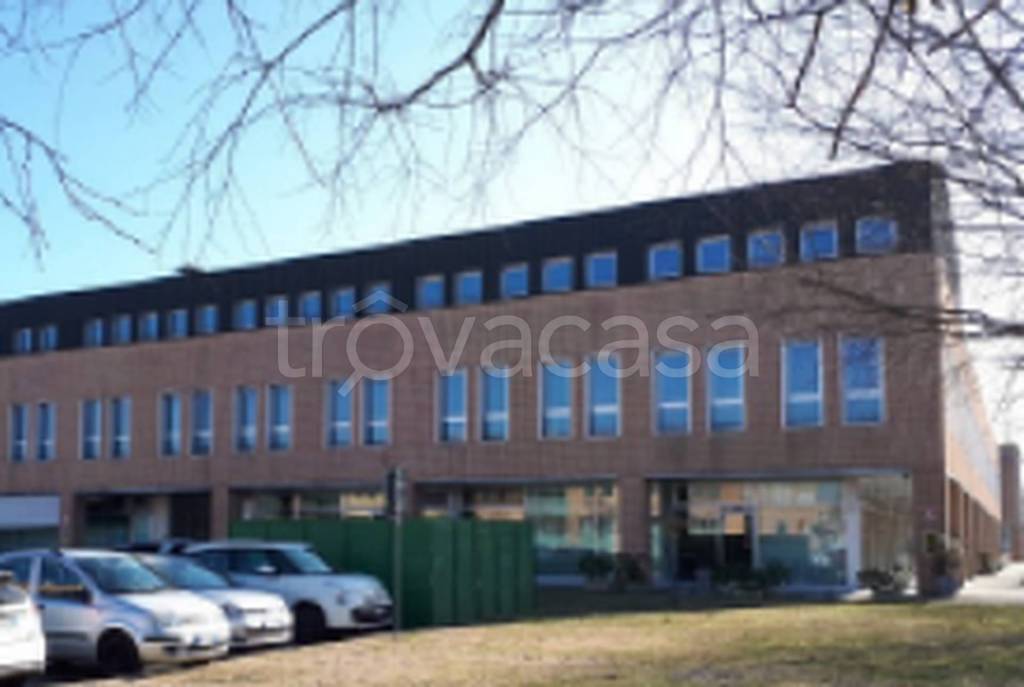 immagine annuncio 10 di 11