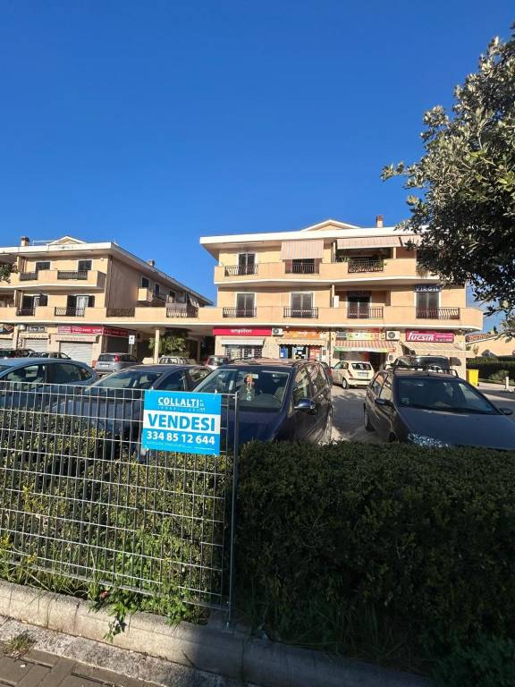 immagine annuncio 14 di 15